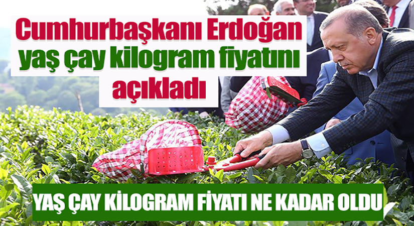 Cumhurbaşkanı Erdoğan, Rize-Artvin Havalimanı açılışında yaş çay alım fiyatını açıkladı